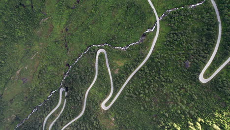 bird's eye view, tracking over a winding serpentine road in thick trees and grass