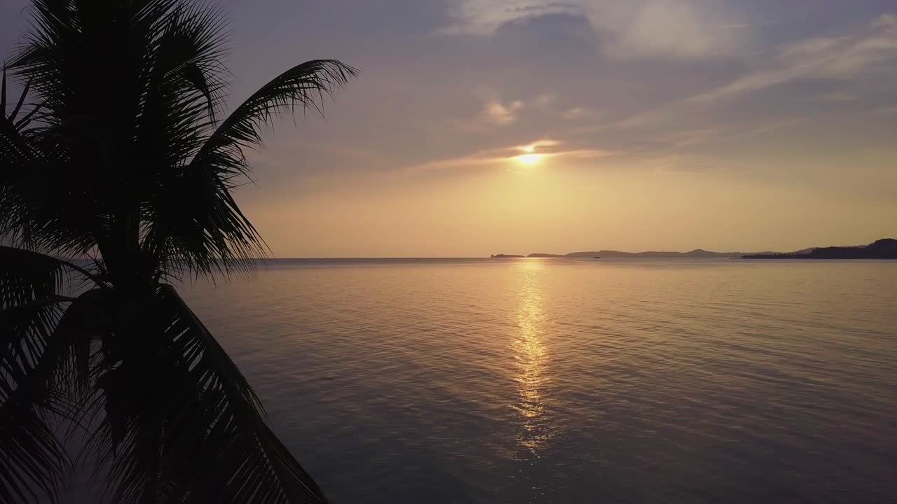 barco de pesca y palma de coco en el mar en el fondo del atardecer