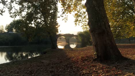 autumn park with leaves and bridge