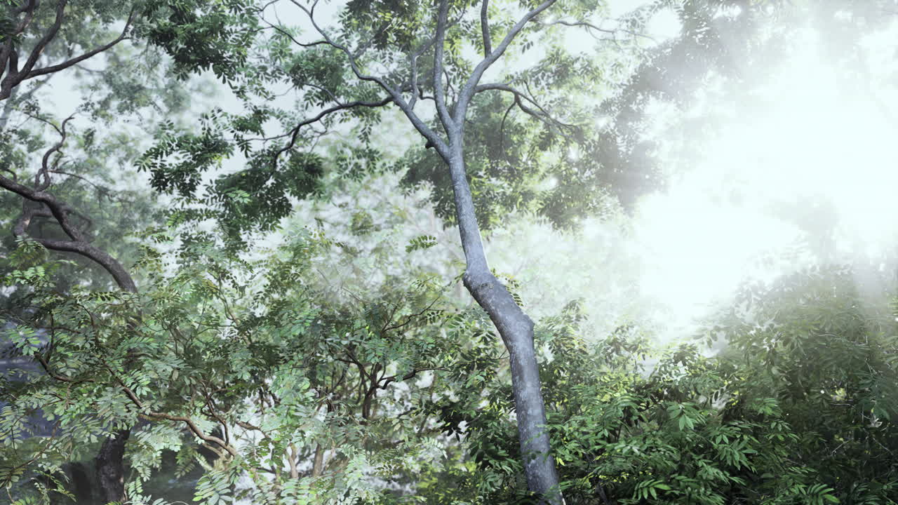 나무 가 풍부 한 울창 한 숲 의 그림