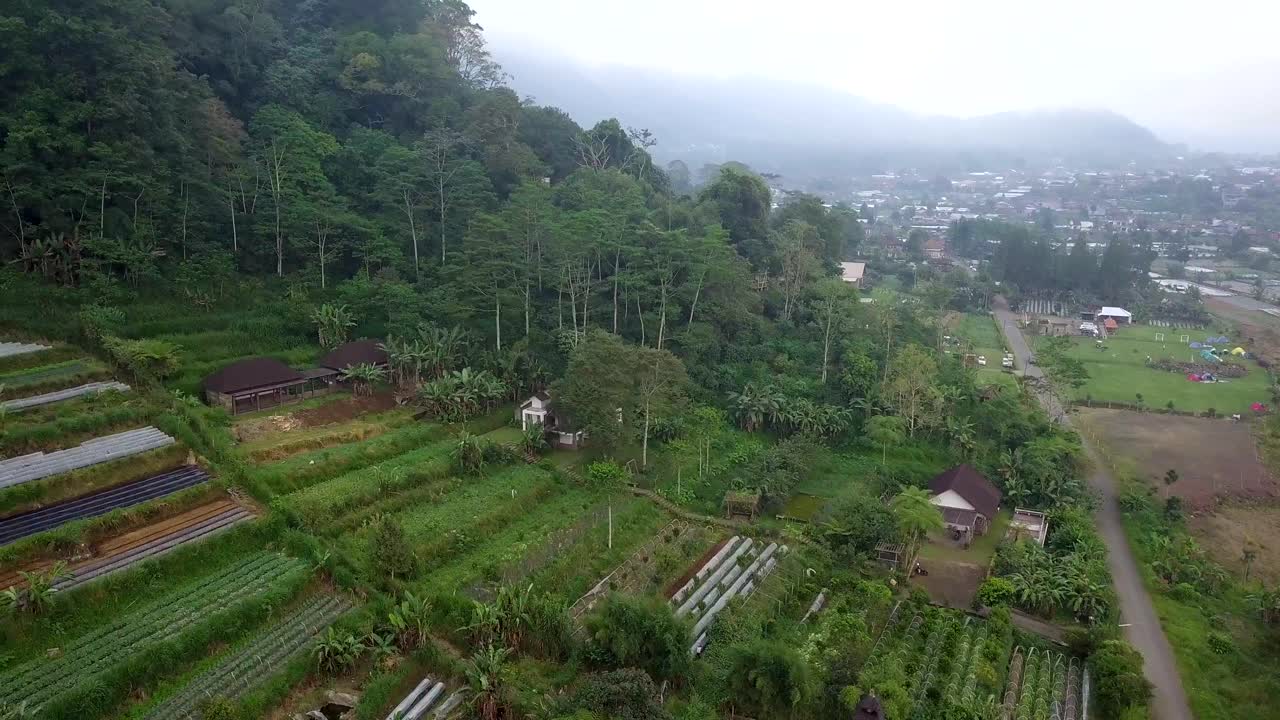 Drone video of historical temple in Bali next to lush nature, agriculture farm land. Ancient temple in Indonesia. Hindu temple in Bali