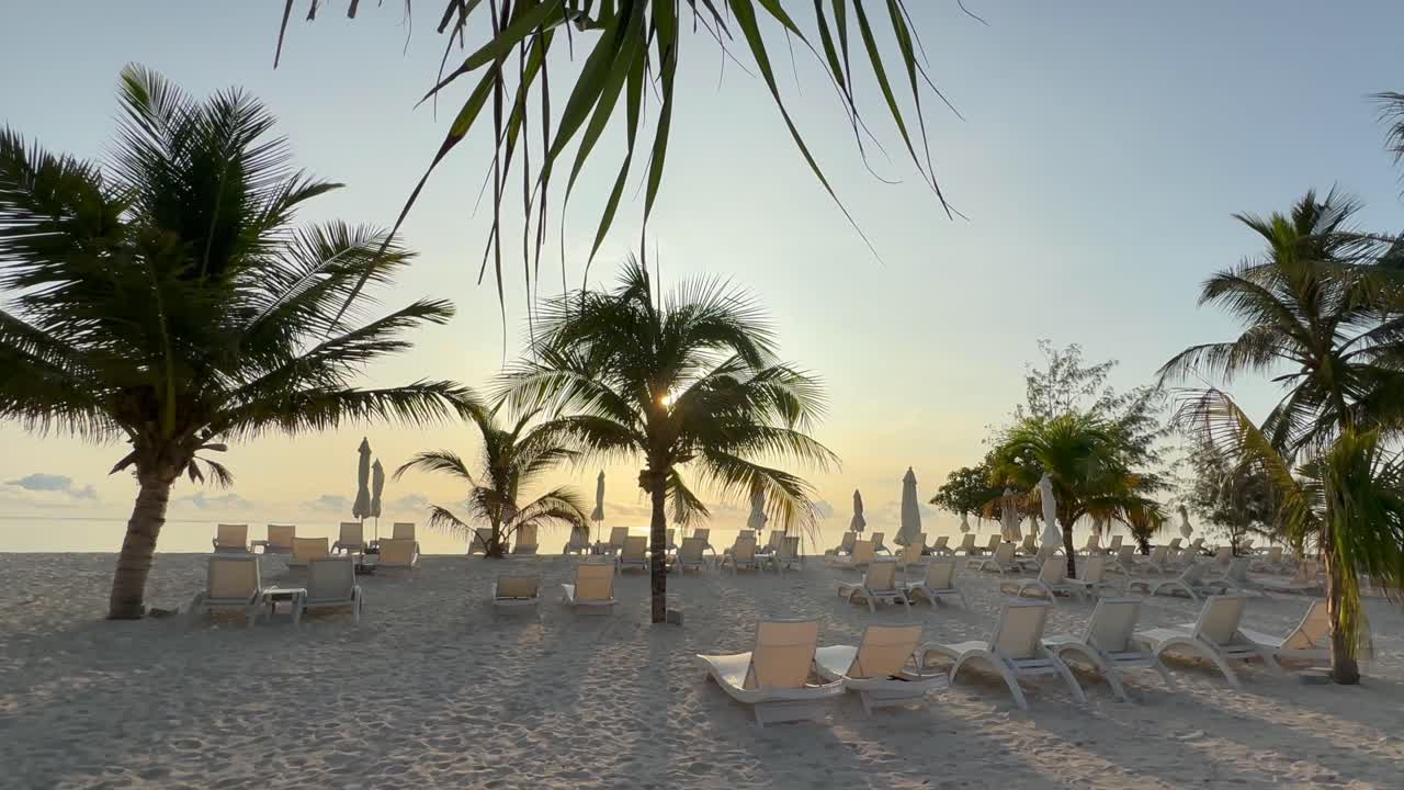 Lettini prendisole su una spiaggia a Zanzibar all'alba. Tanzania.