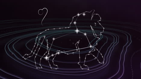 animación del signo estelar de leo con estrellas brillantes sobre las líneas.