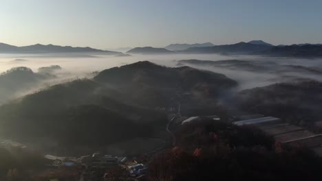 안개가 자욱한 가을 고속도로 장면