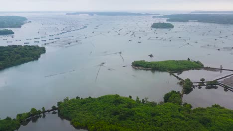 aerial view of fish ponds for bangus, milkfish