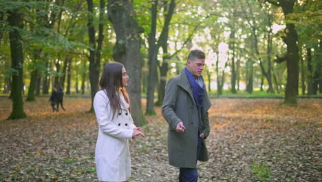 people in the park