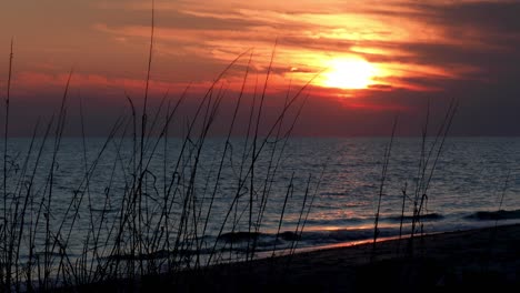 tranquil beach sunset loop