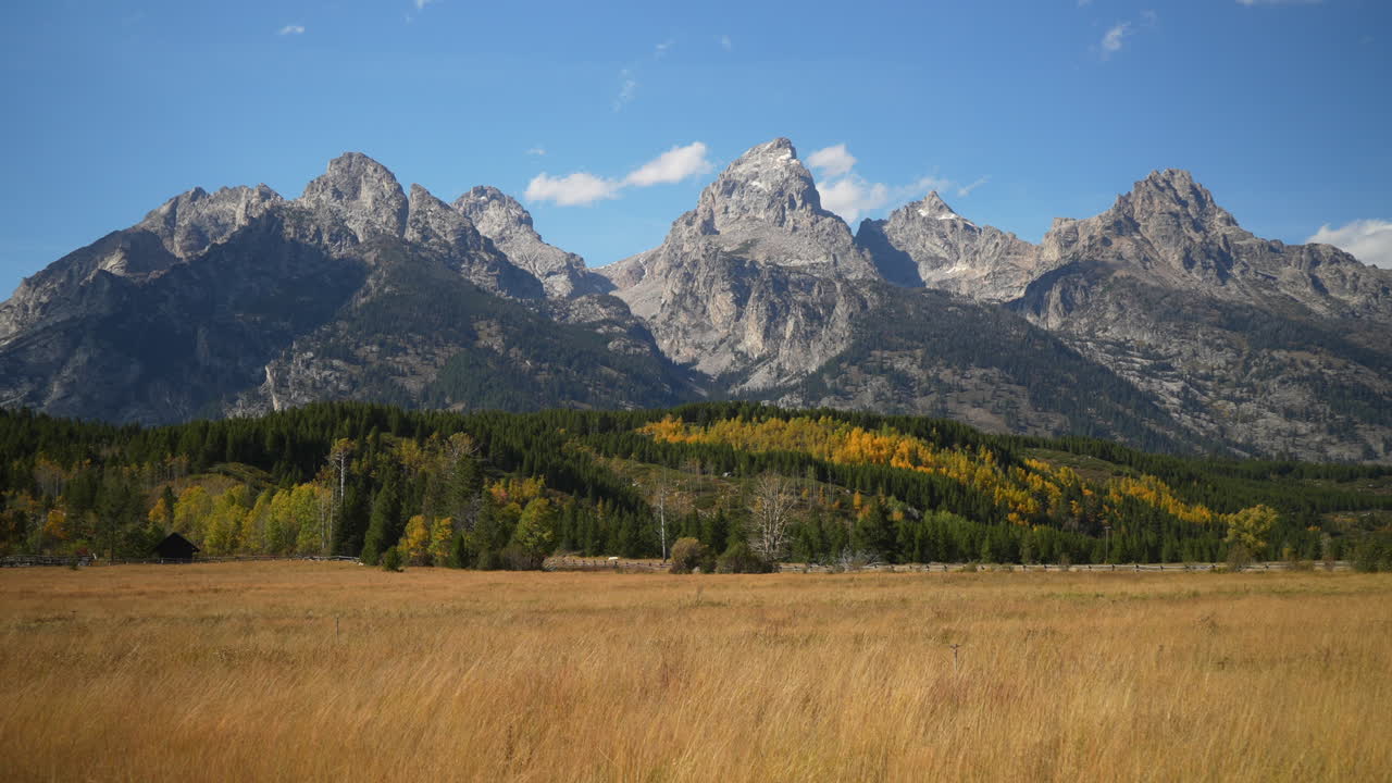 Cinematic still movement Grand Teton National Park entrance towards Jenny Lake wind in tall grass fall Aspen golden yellow trees Jackson Hole Wyoming mid day beautiful blue sky no snow on peak