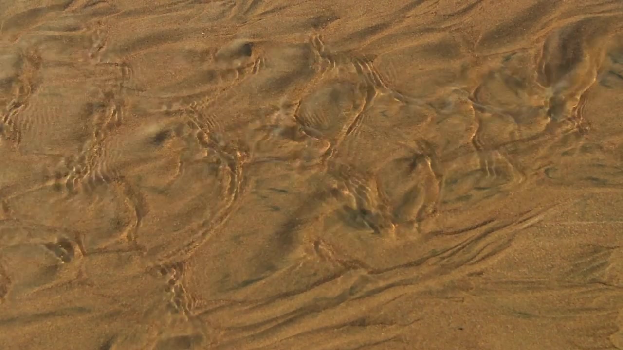 Streams At Sand Dunes In Northland, New Zealand. Close-up Shot