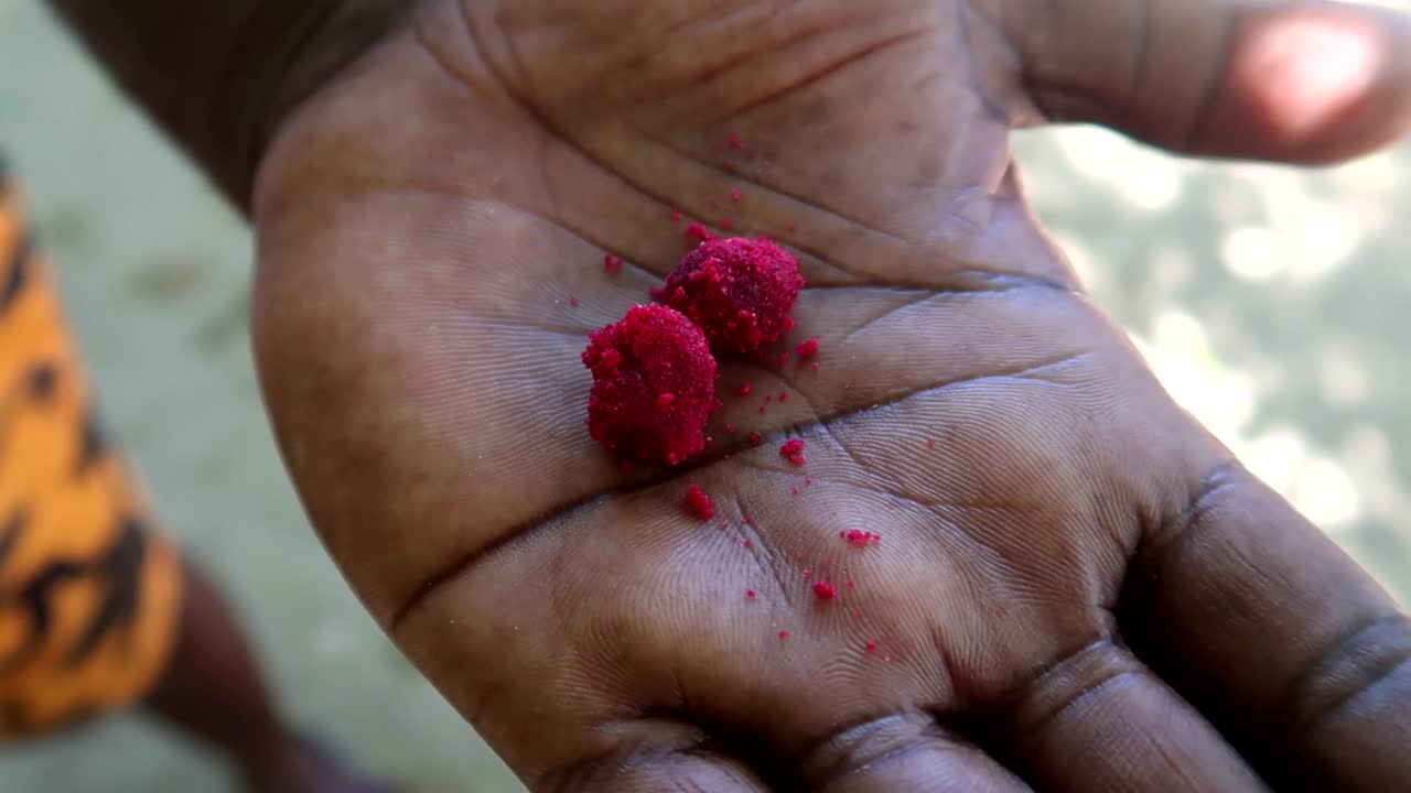 primer plano de la mano de una persona africana sosteniendo fruta de baobab recubierta de azúcar para comer como un caramelo