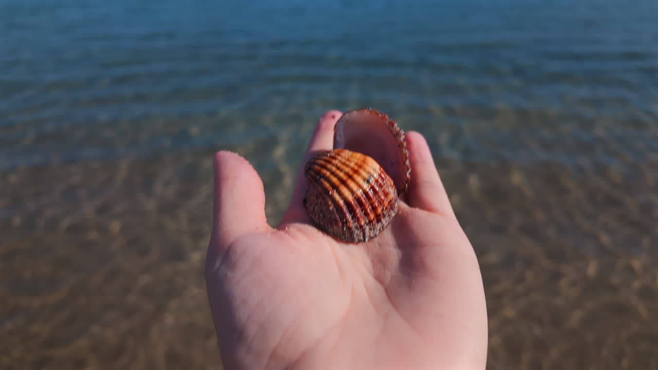 Close up of a hand holding a seashell against a clear blue sea background