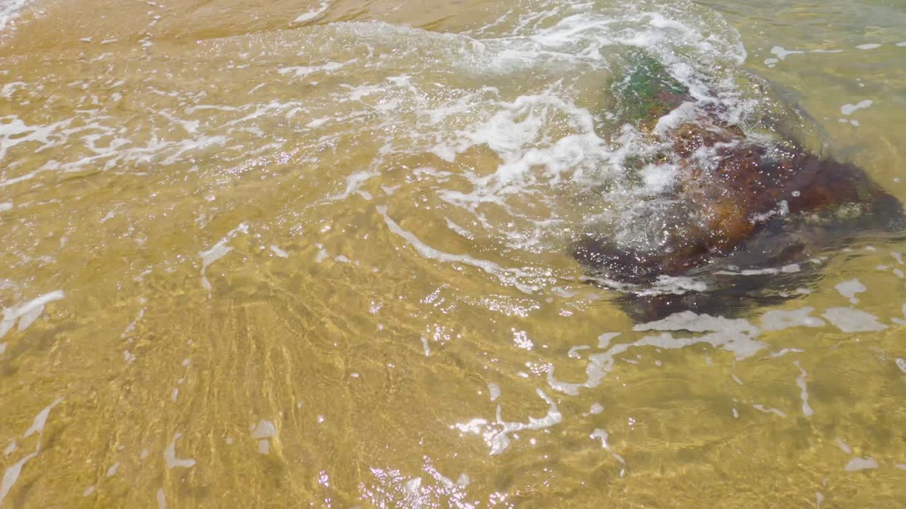 파도가 모래에 부서지는 아름다운 해변에서 슬로우 모션으로 걷기