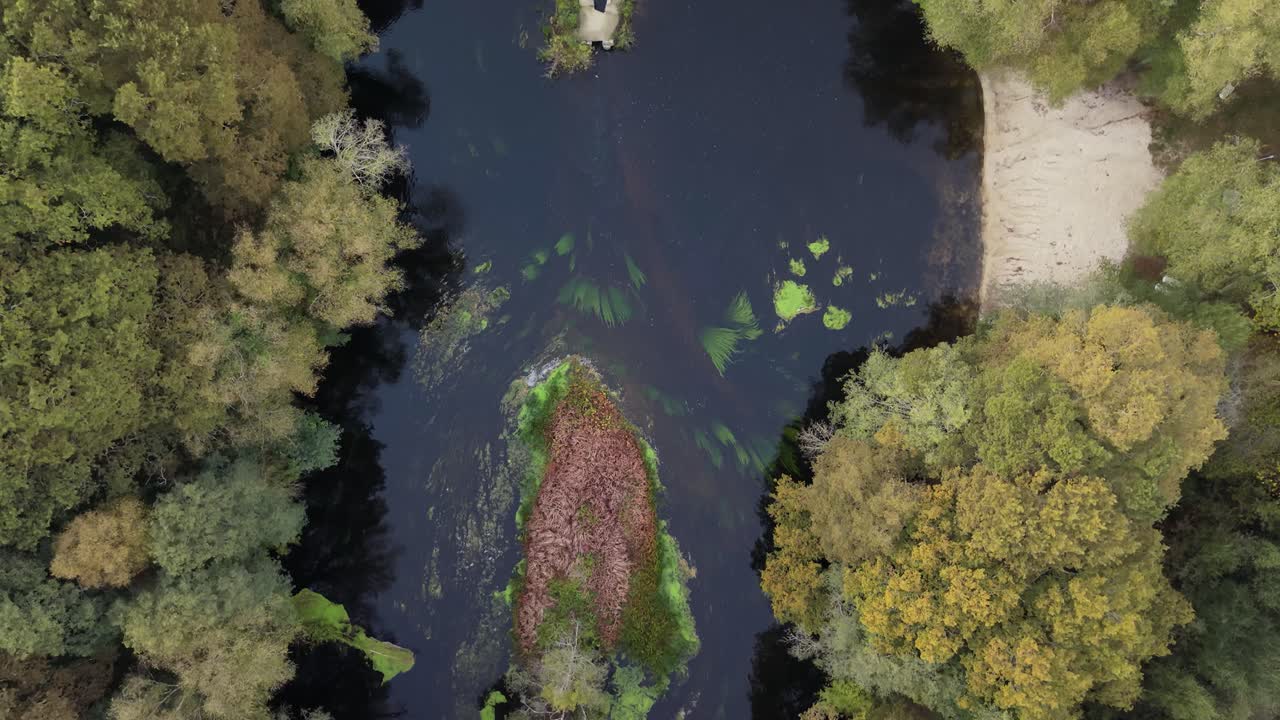 Bird's Eye View Of River And Vegetation In Begonte, Spain - Drone Shot