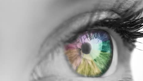 close up of female colorful eye against white background