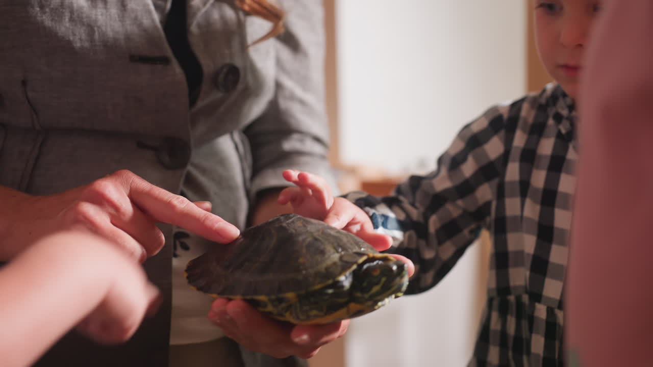 Kindergarten teacher introduces children to animals showing tortoise shell as curious girl watches attentively creating moment of early learning, guidance and discovery in classroom