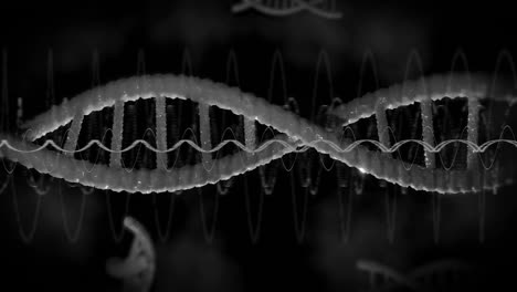 Animation-of-diagrams-over-dna-strands