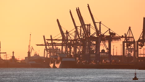 Container-terminal-in-beautiful-warm-sunlight,-port-of-Hamburg