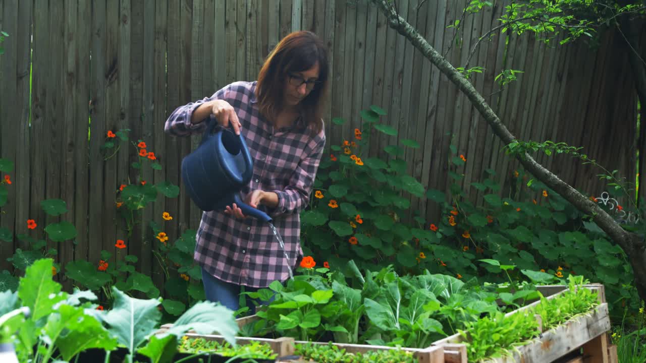 Mature woman watering plants in the garden 4k
