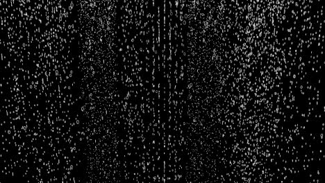 binary code rain