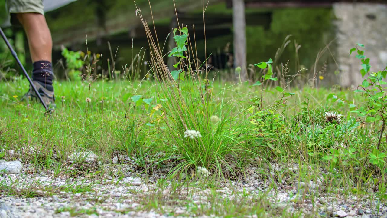 Close up shot of legs of woman and man walking through spotty grass, slowmo