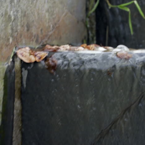 Water-running-down-steps-waterfall