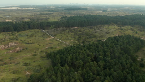 aerial of lush forest trees with isolated track on rugged landscape of zuid-kennemerland national park in netherlands