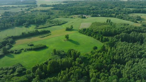 aerial establishing view of ripening grain fields at sunset, organic farming, countryside landscape, production of food, woodland, beautiful golden hour sunset, drone shot moving forward tilt down