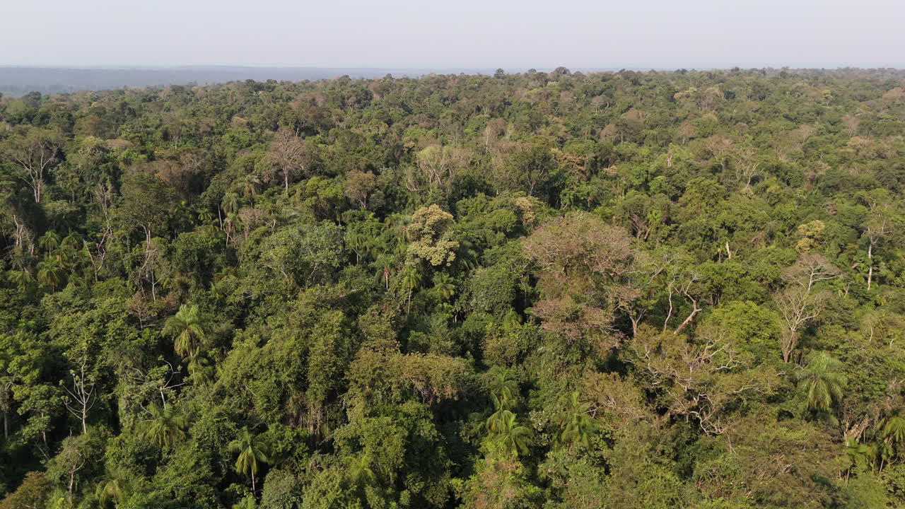 Panoramic aerial view of dense Argentina Misiones jungle, rainforest conservation