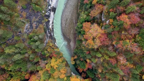 Epic-Aerial-Flight-Over-Mist-Forest-Colorful-Autumn-Trees-and-Beautiful-blue-canyon-river-in-autumn-forest,-top-view