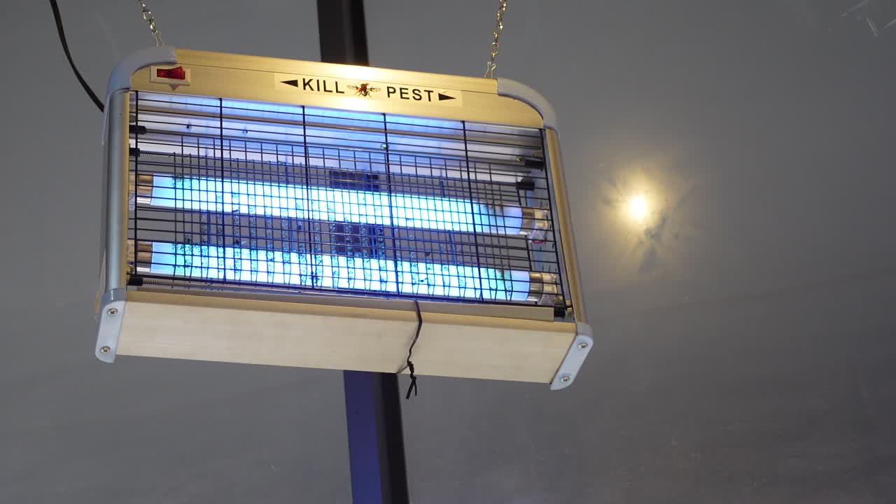 Image of a bug zapper