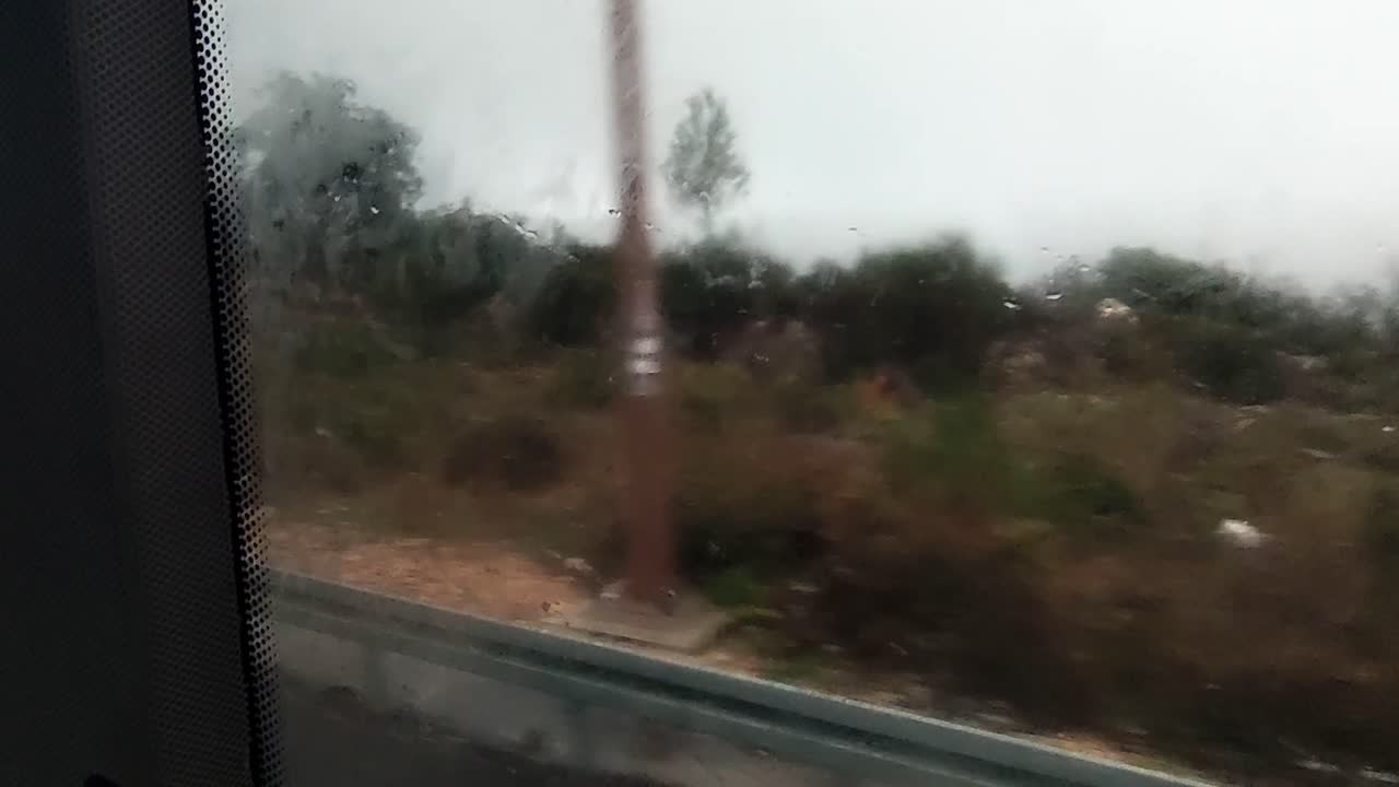 A blurry view of a road with a tree line in the background