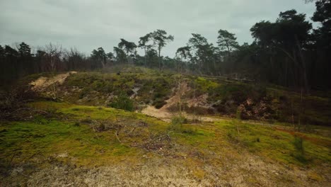 Dunas-De-Arena-Montañosas-Cubiertas-De-Musgo-En-Invierno-Paisaje-De-Brabante-Holandés