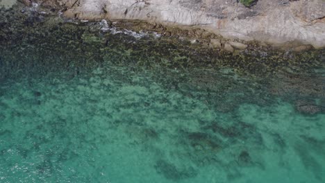 Unberührter-Tropischer-Strand-Mit-Zerklüfteter-Küstenlinie-Auf-Great-Keppel-Island,-Steinbockküste-Von-Zentral-queensland,-Australien