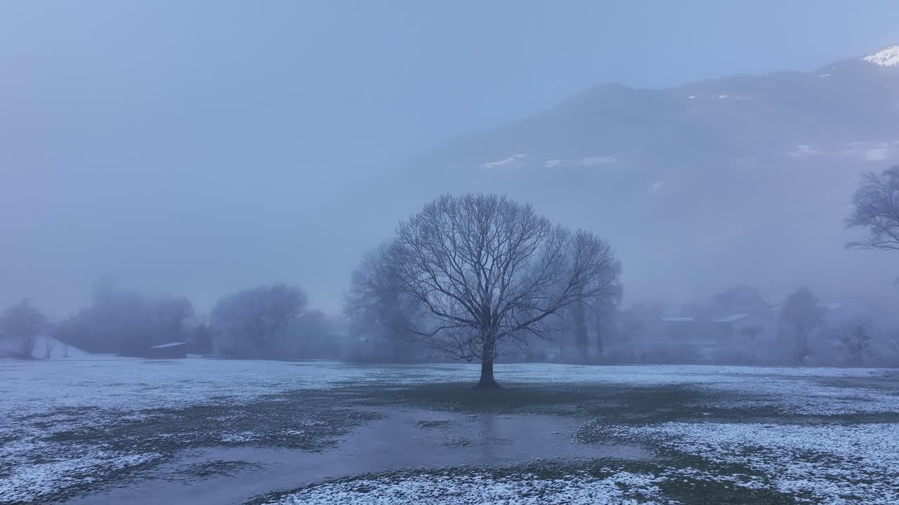 A lone, large tree stands in the middle of a frozen field on a winter morning in the Swiss Alps.