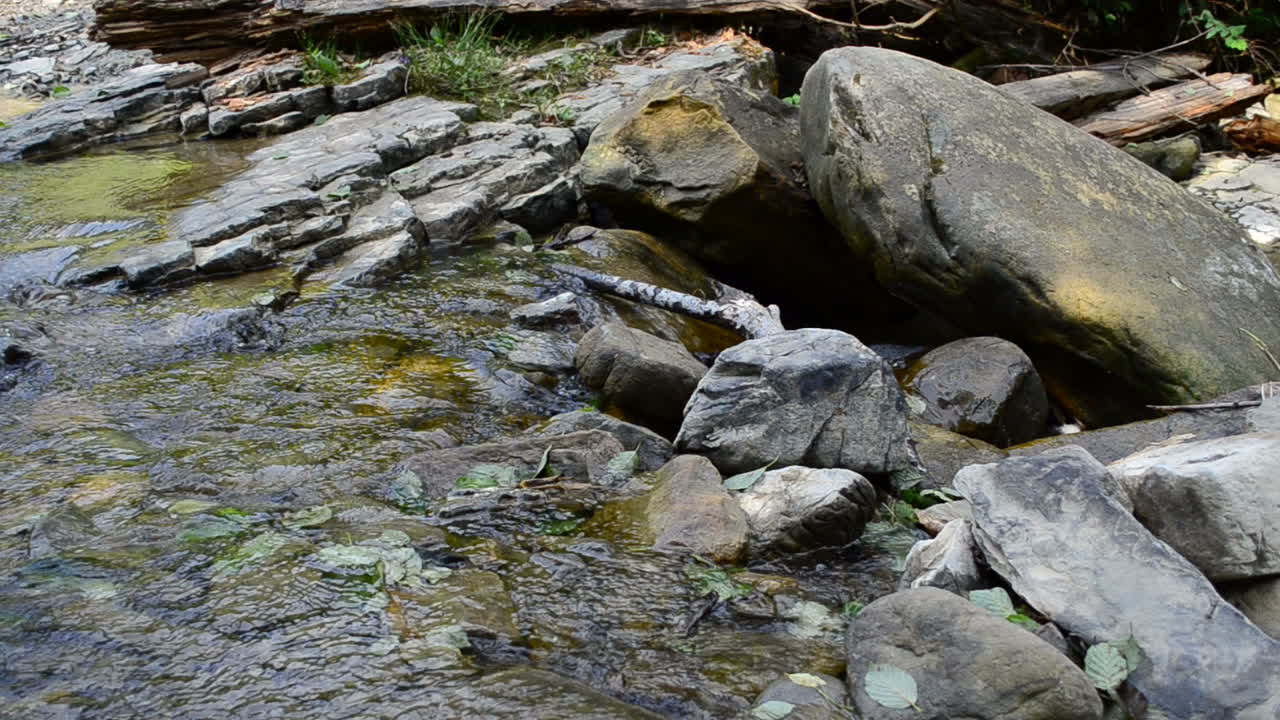 Water and stones. Mountain river, summer
