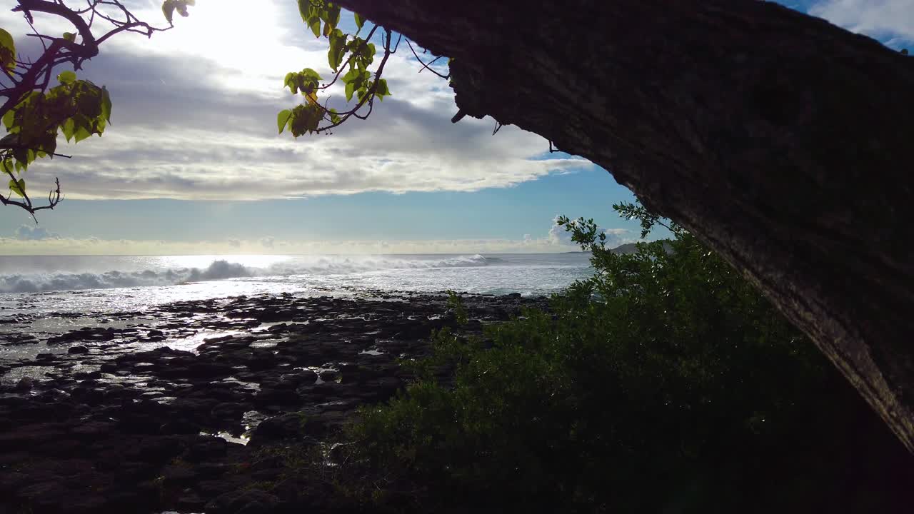 4K Hawaii Kauai boom down through backlit branches to ocean waves crashing on lava rocks with bright partly cloudy sky