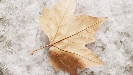 Video-of-autumn-frozen-yellow-leaf-on-winter-icy-background