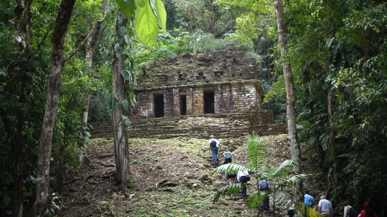toma de establecimiento del templo maya en yaxchilian