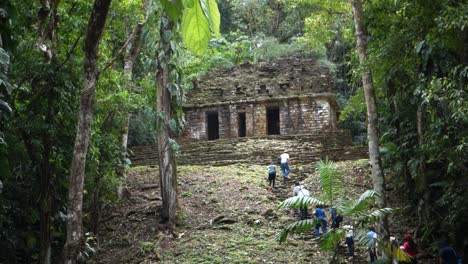 establishing shot of the mayan temple at yaxchilian