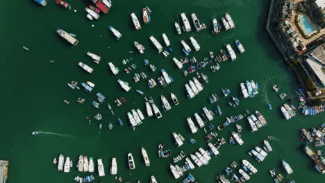 drone top shot of bustling harbor with boats and turquoise water in hongkong