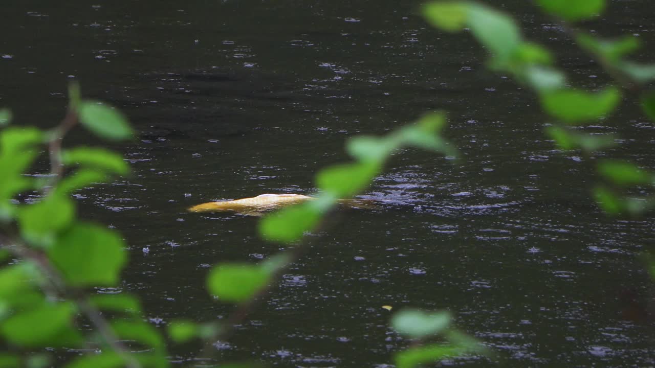 도쿄 최고의 전망