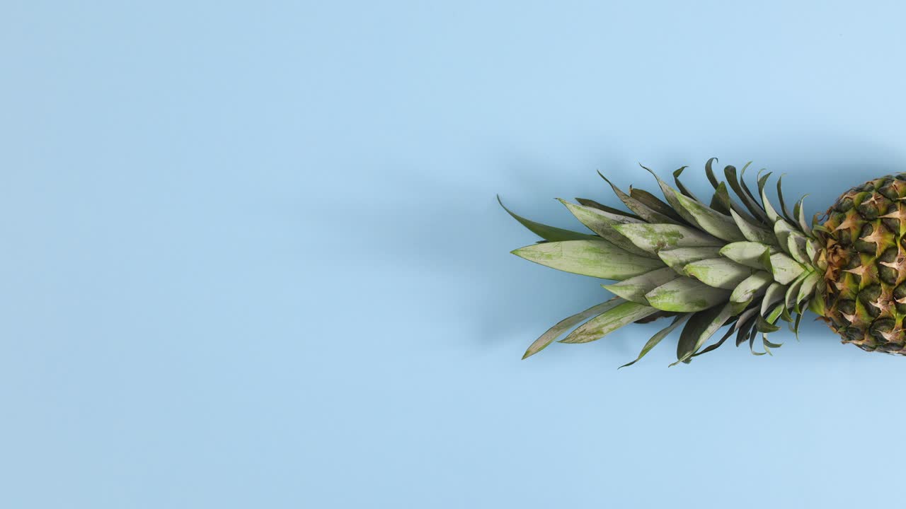 Pineapple appear on right side of pastel blue theme. Stop motion