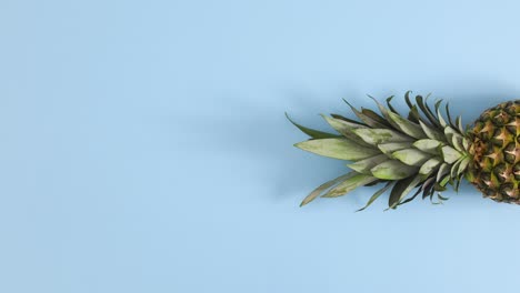 pineapple appear on right side of pastel blue theme. stop motion