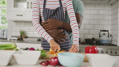 Diverse-couple-wearing-blue-apron-embracing-and-cooking-in-kitchen