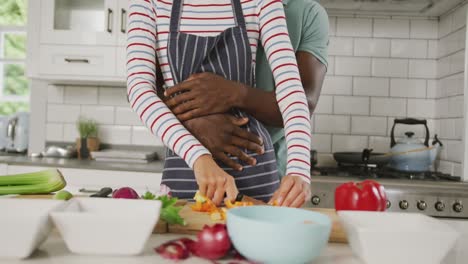 diverse couple wearing blue apron embracing and cooking in kitchen