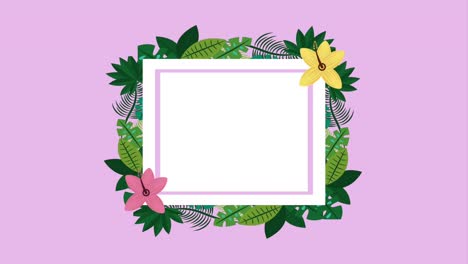 plantilla de verano tropical