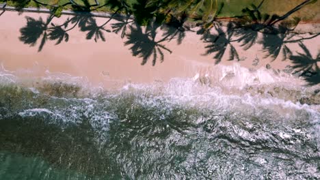 flight-over-Cromwells-beach-with-shadow-palm-trees-in-Kahala,-Oahu,-Hawaii