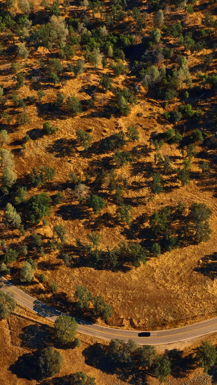 Panorama of the rocky landscape covered with trees. Car goes by the highway in Sierra National Forest, California, USA. Aerial view. Vertical video