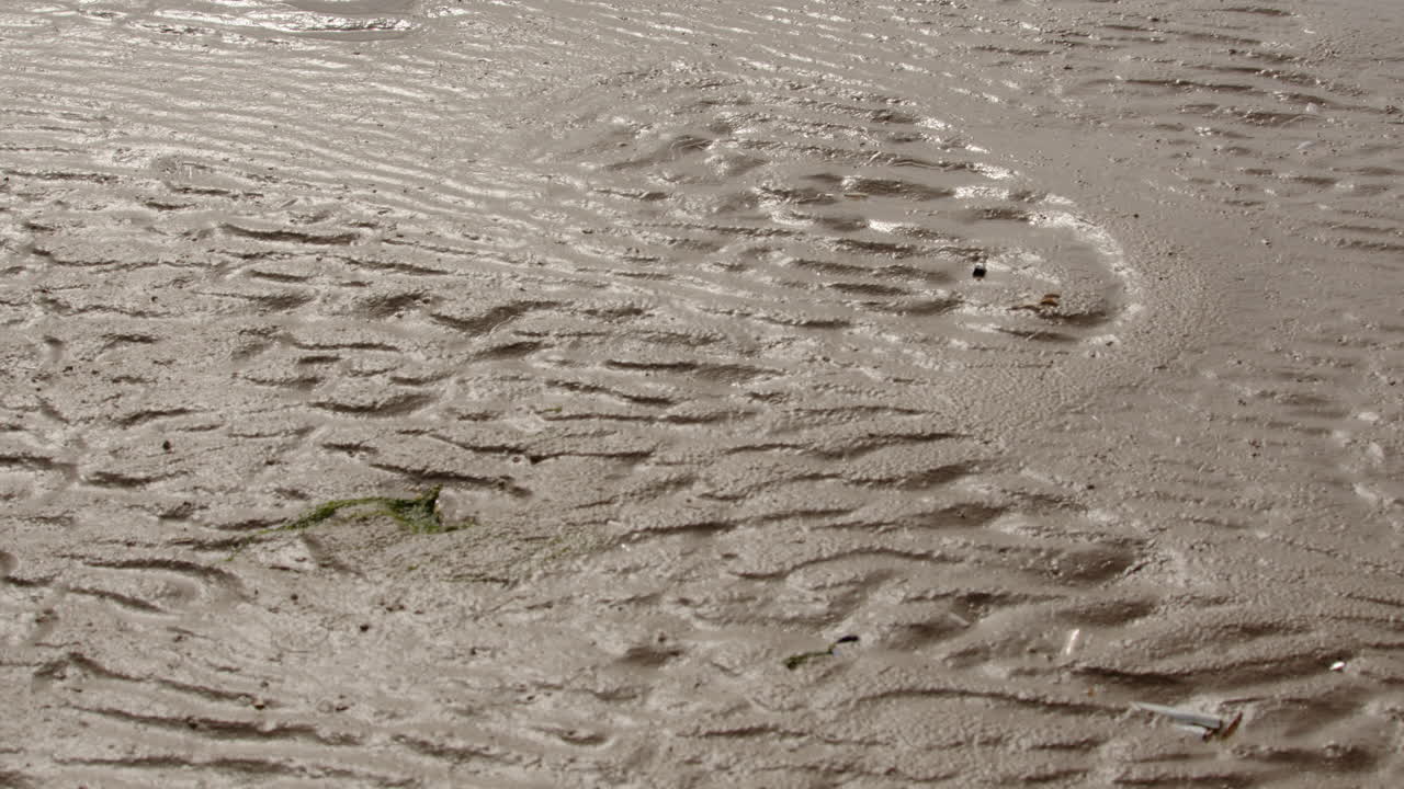 솔트플리트 (saltfleet), 루스 (louth), 링컨셔 (lincolnshire) 의 개방된 해변에서 은 모래 파동의 중간