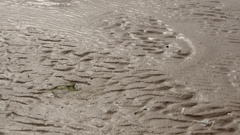 Mid-shot-of-the-wet-sand-ripples-on-an-open-beach-at-Saltfleet,-Louth,-Lincolnshire